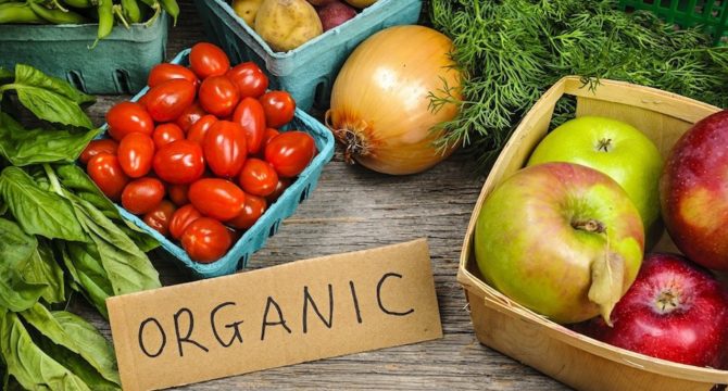 Pourquoi se tourner vers l’alimentation organique ?